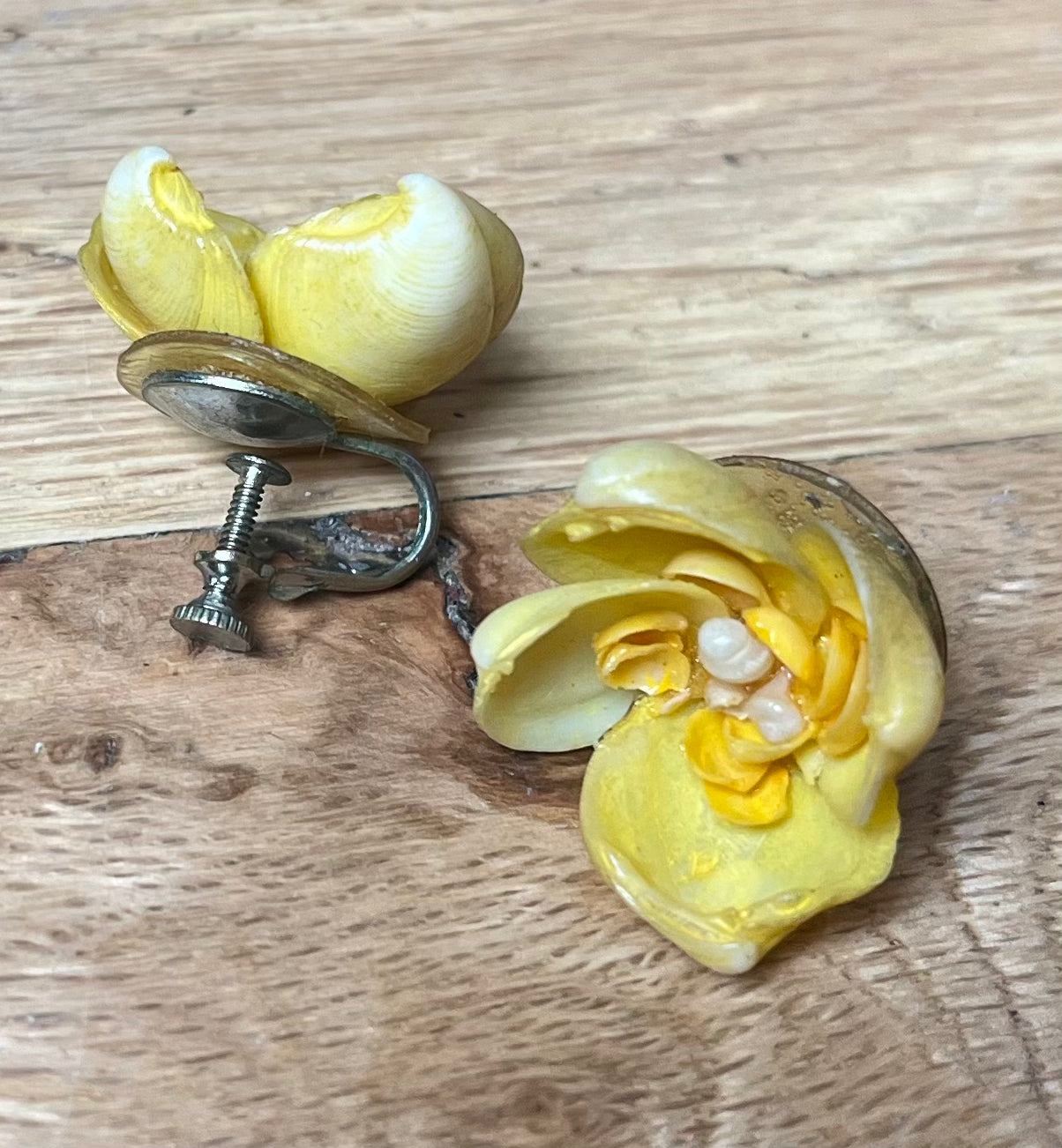 50s Seashell Earrings
